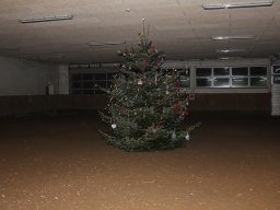 IMG_5588_web